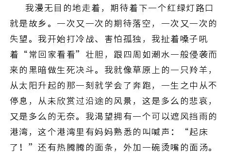 年关将近事更忙浪子在外思故乡是什么生肖,定量解答解释落实_o8525.65.07